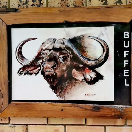 Buffalo Marloth Park Extérieur photo